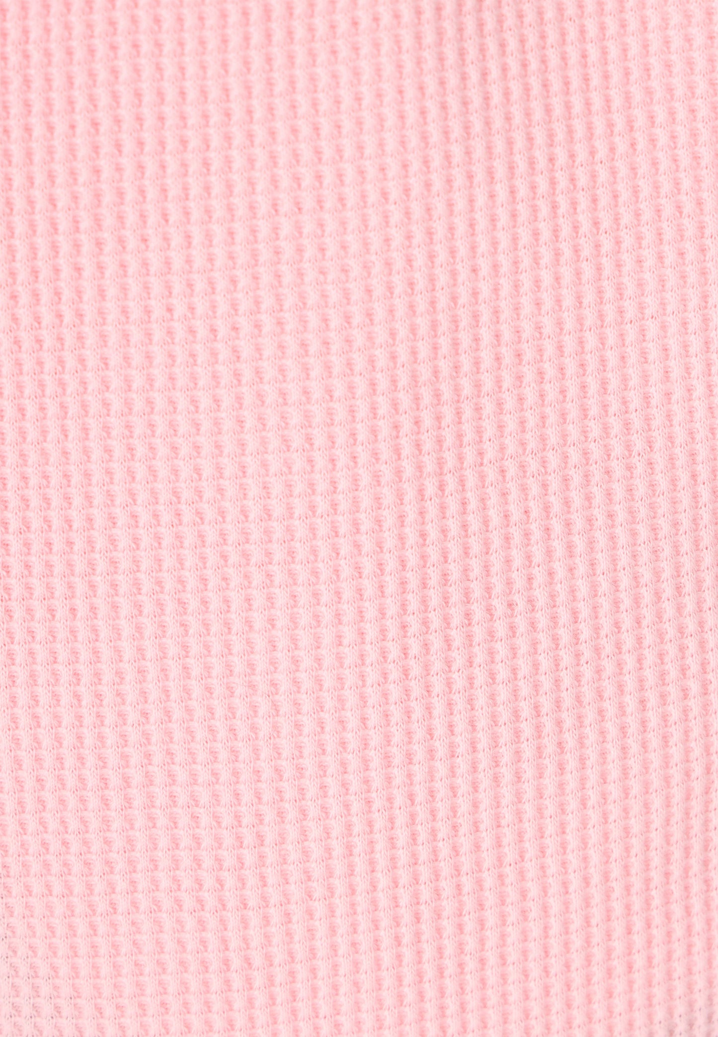 blonda Women's Plus Size Shorts