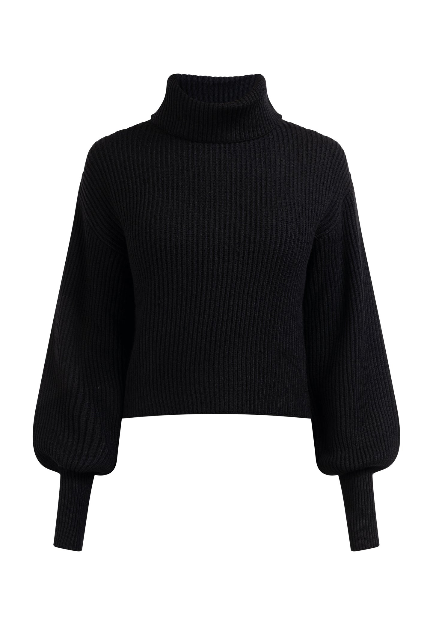 faina Rollkragenpullover