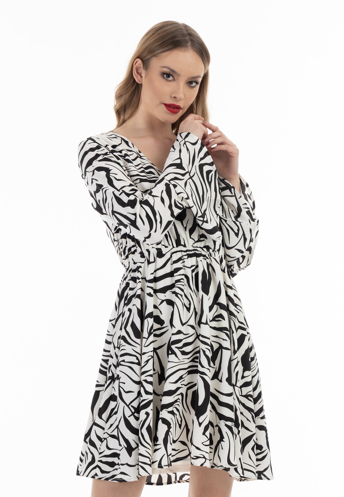 Faina Women's Dress Zebra Print