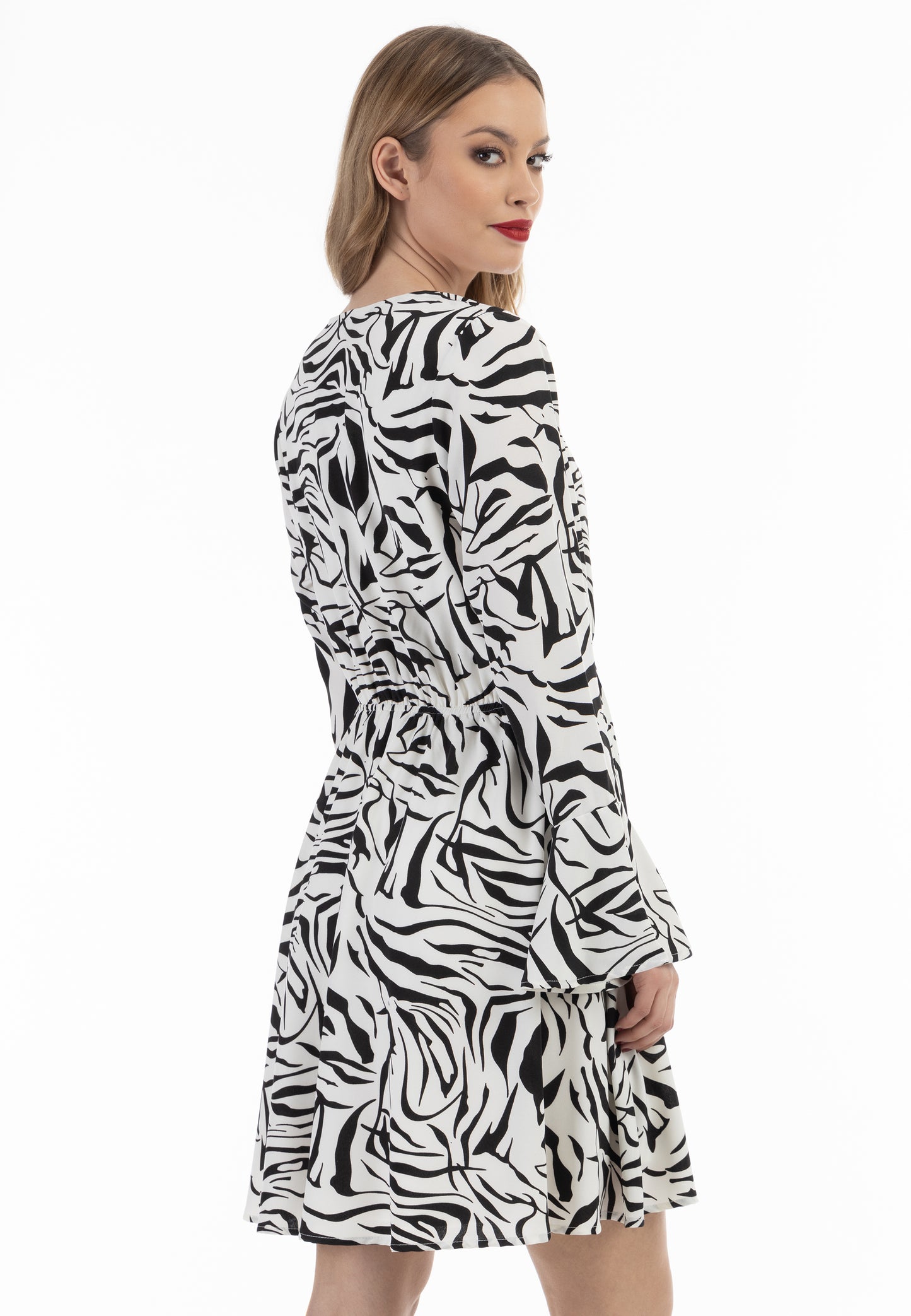 Faina Women's Dress Zebra Print