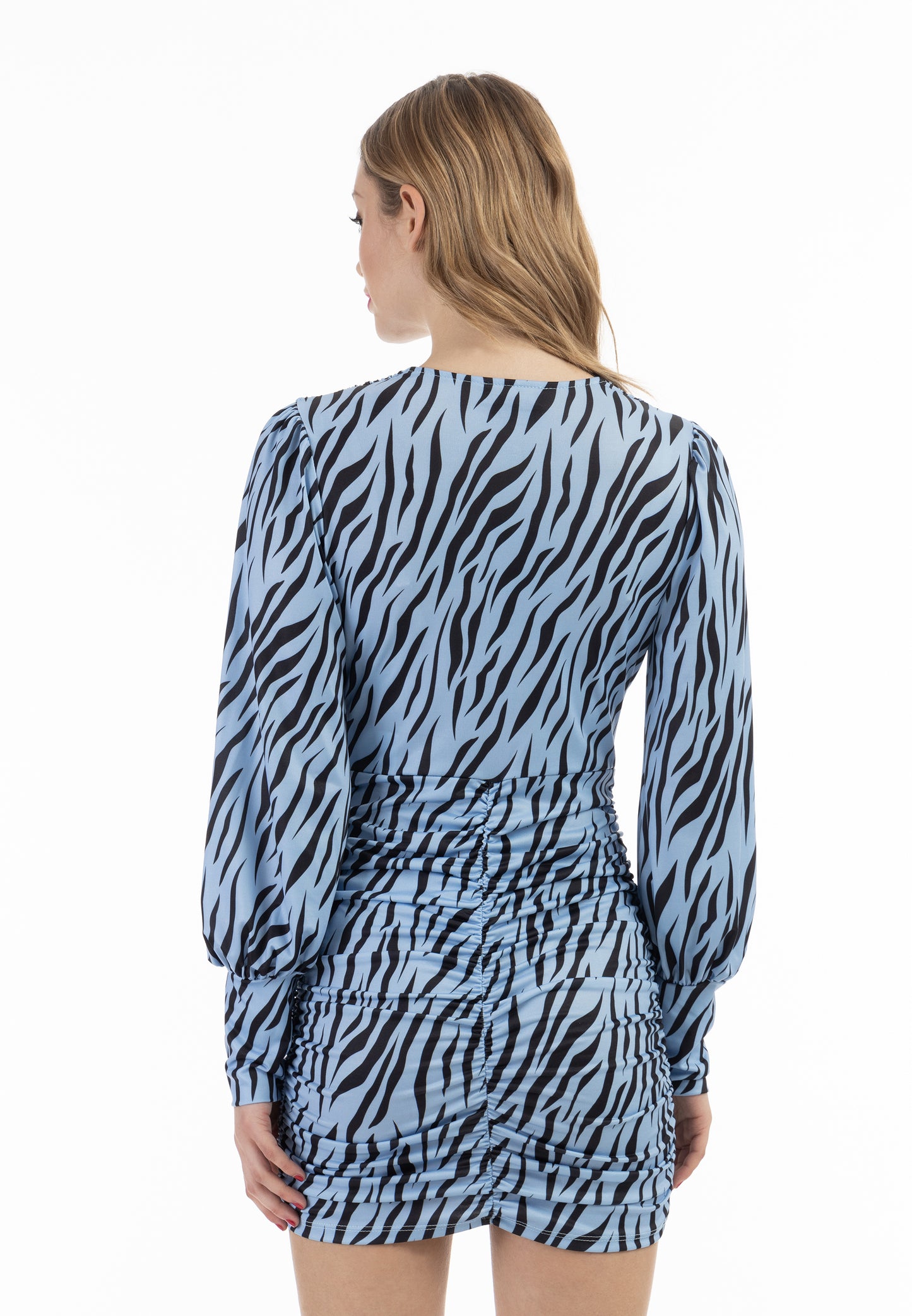 Faina Women's Longsleeved Dress