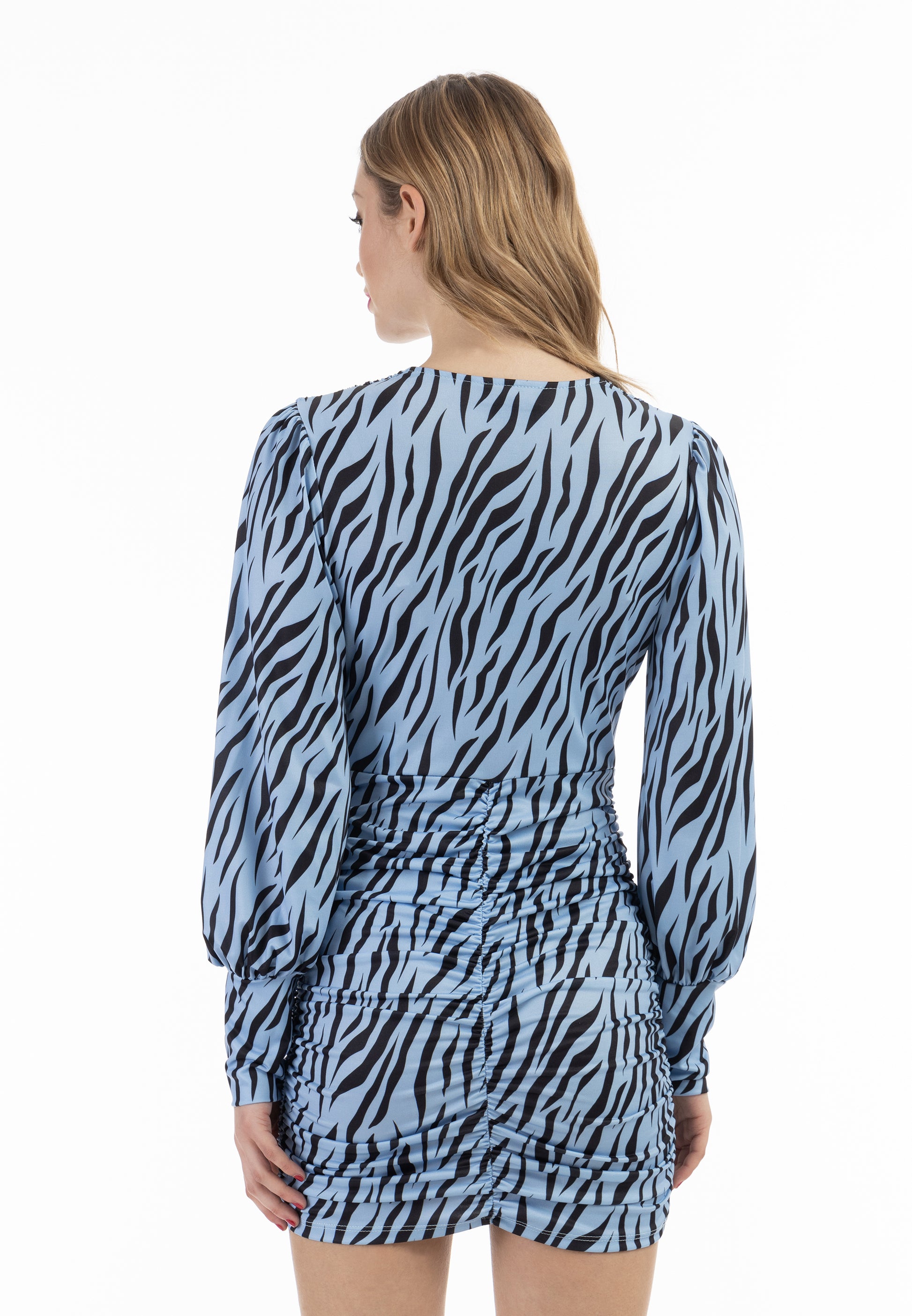 Faina Women's Longsleeved Dress