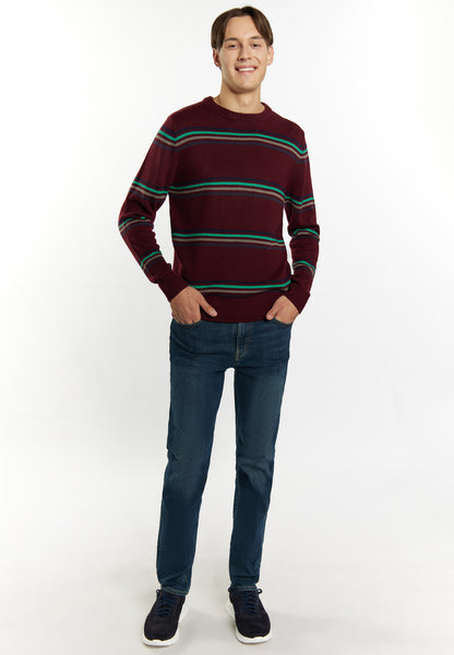 Sweter męski Mo