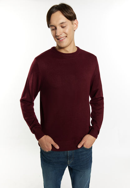 Sweter męski Mo