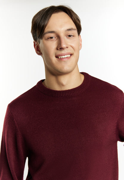Sweter męski Mo