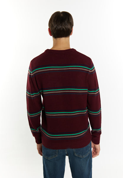 Sweter męski Mo