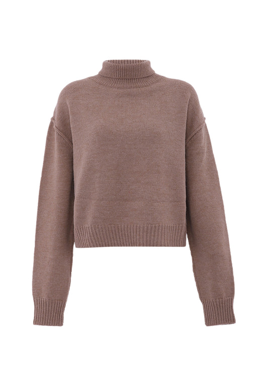 faina aleva Sweater