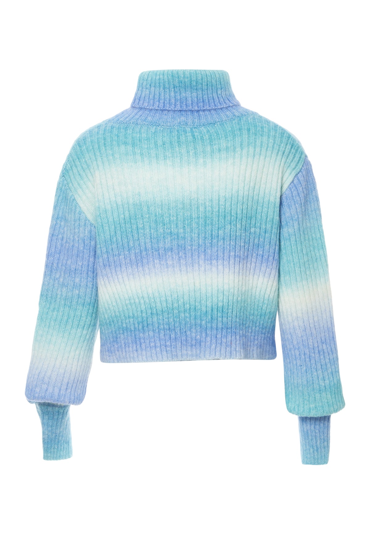 Albee Women's Turtleneck Sweater