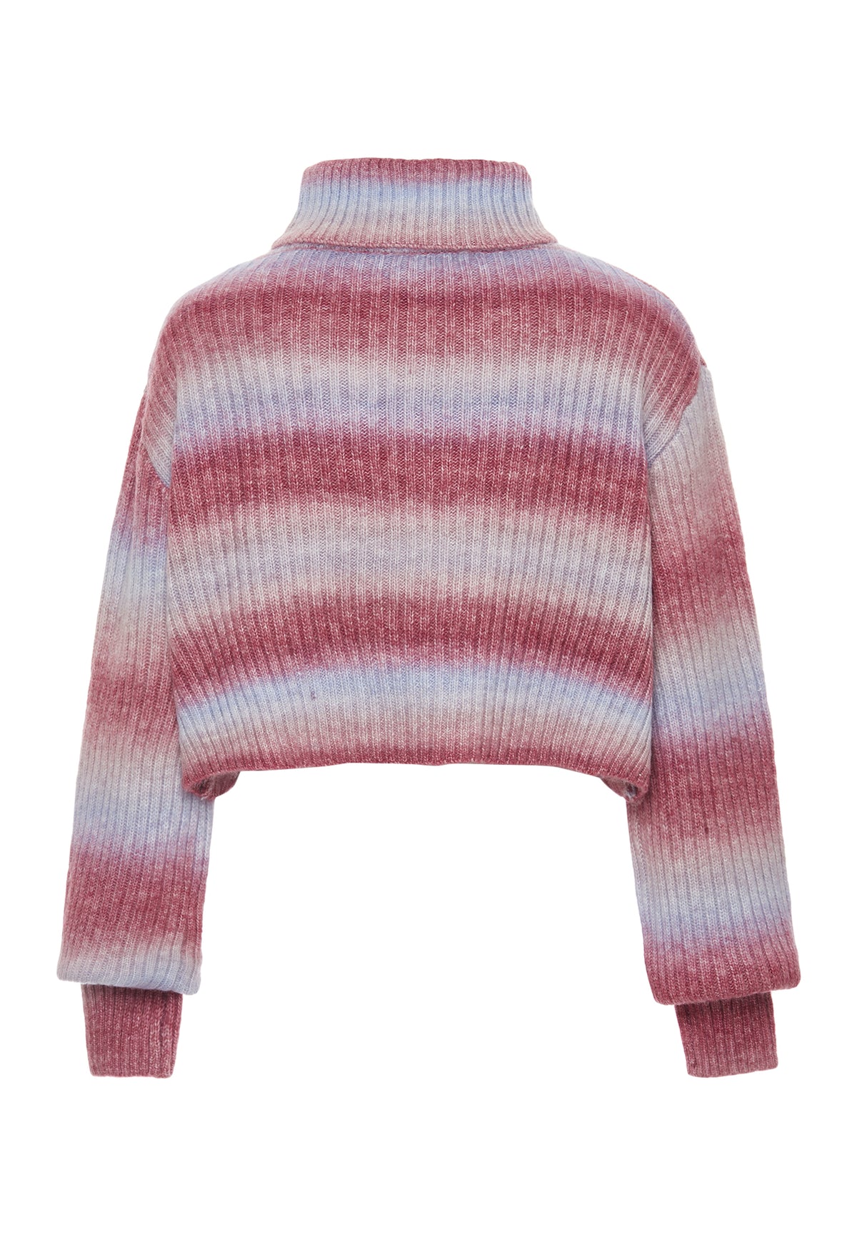 Albee Women's Turtleneck Sweater