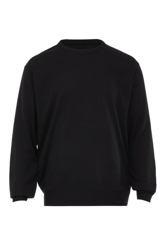 RAIDO Men's Pullover