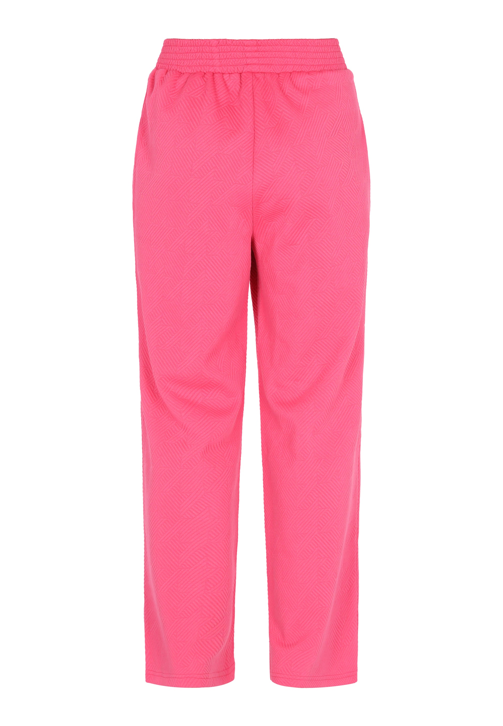 Usha Blue Label Women's Pants