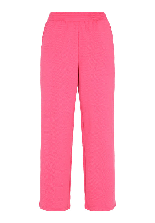 Usha Blue Label Women's Pants