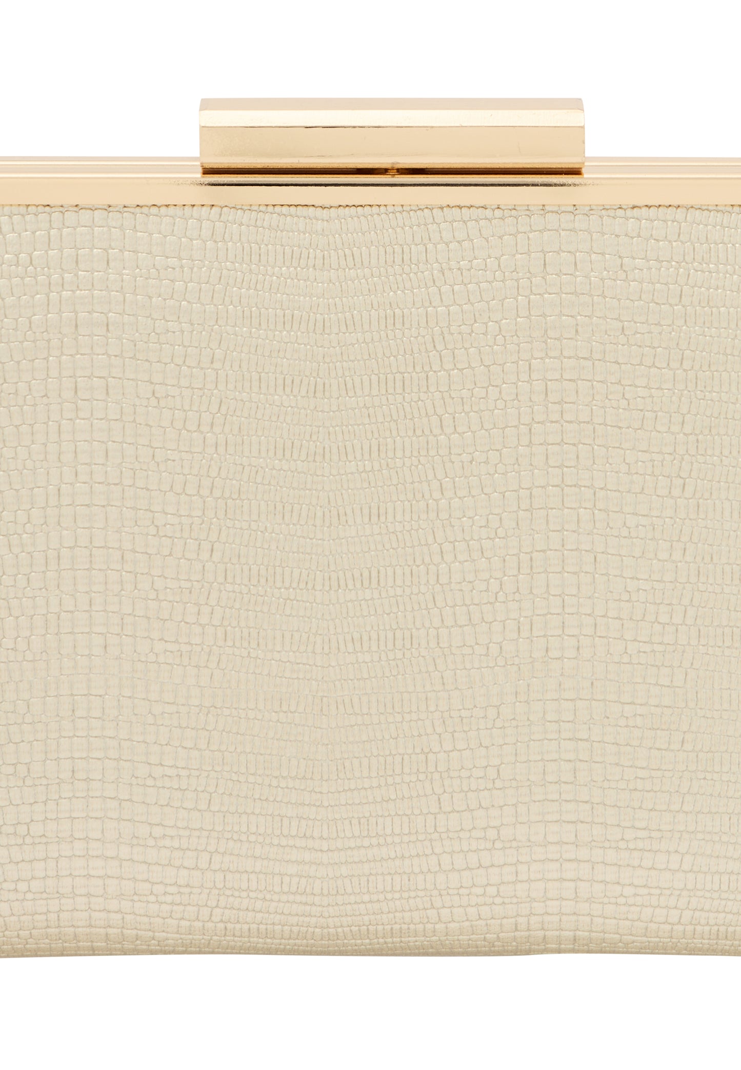 Naemi Women's Clutch Bag