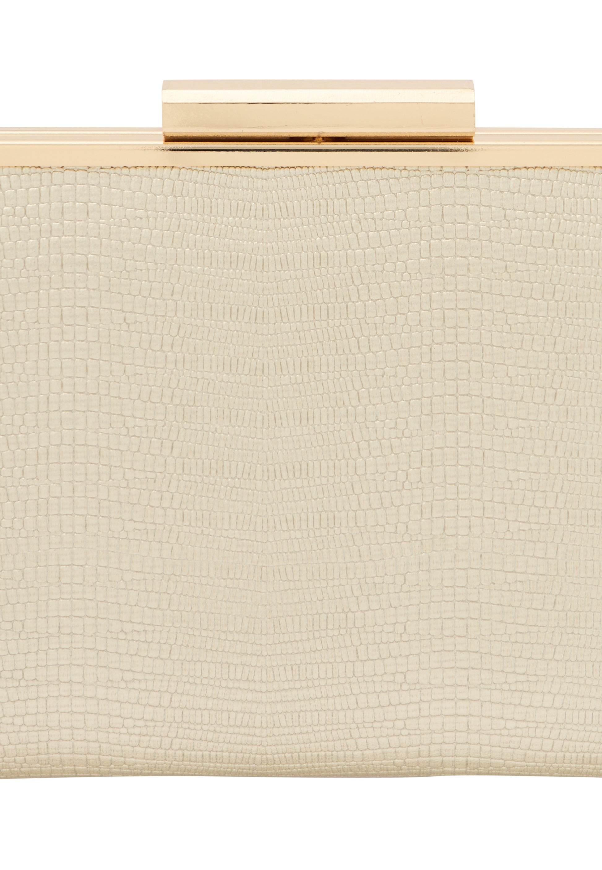 Naemi Women's Clutch Bag