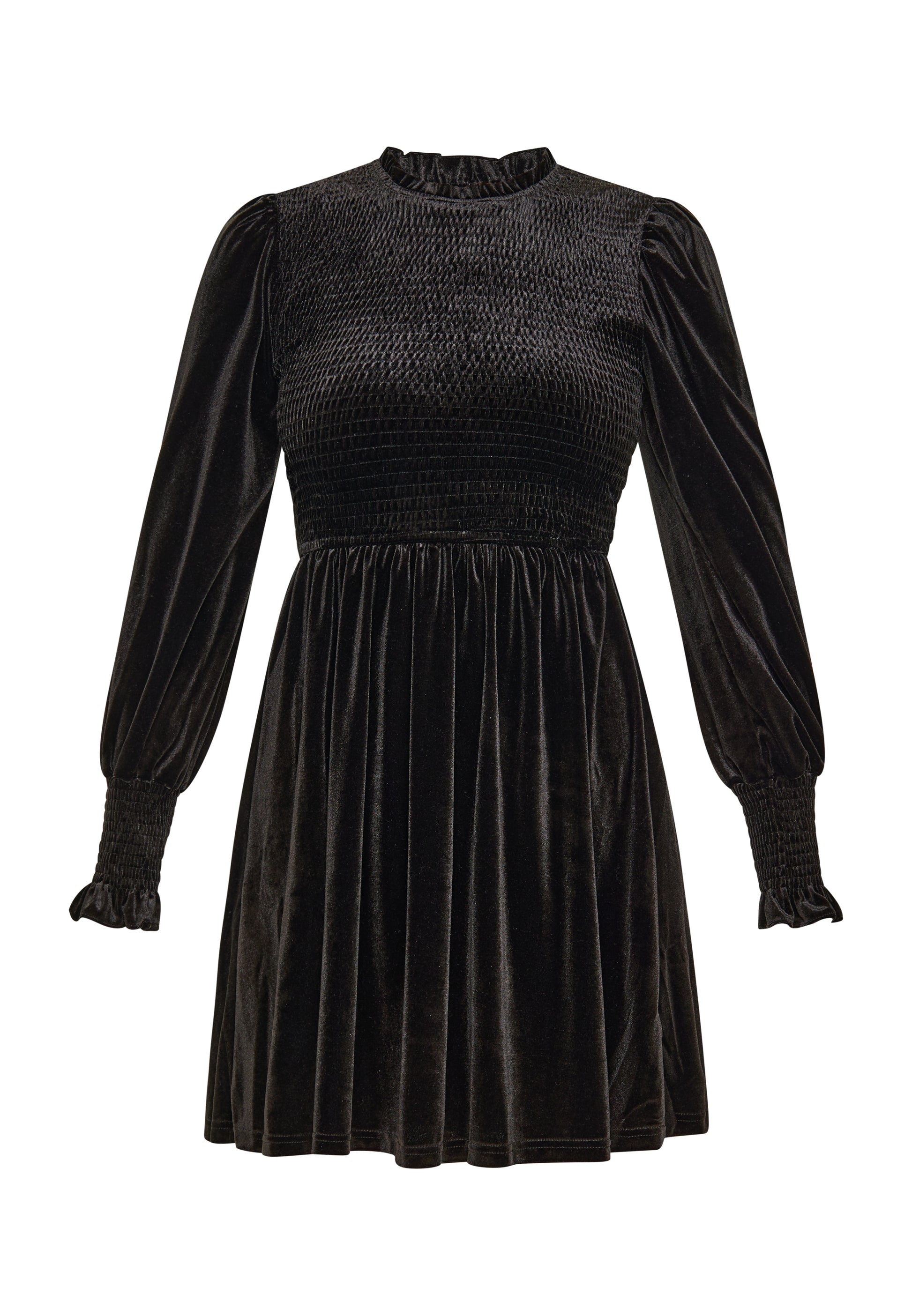 usha BLACK LABEL Women's Dress