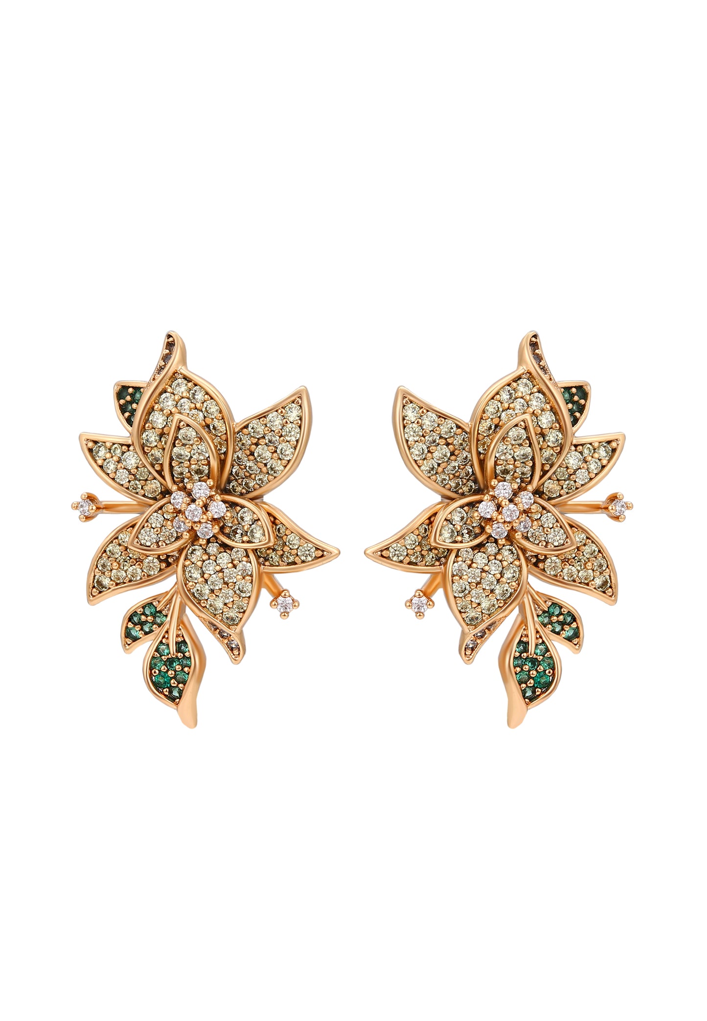 Naemi Women's Earrings