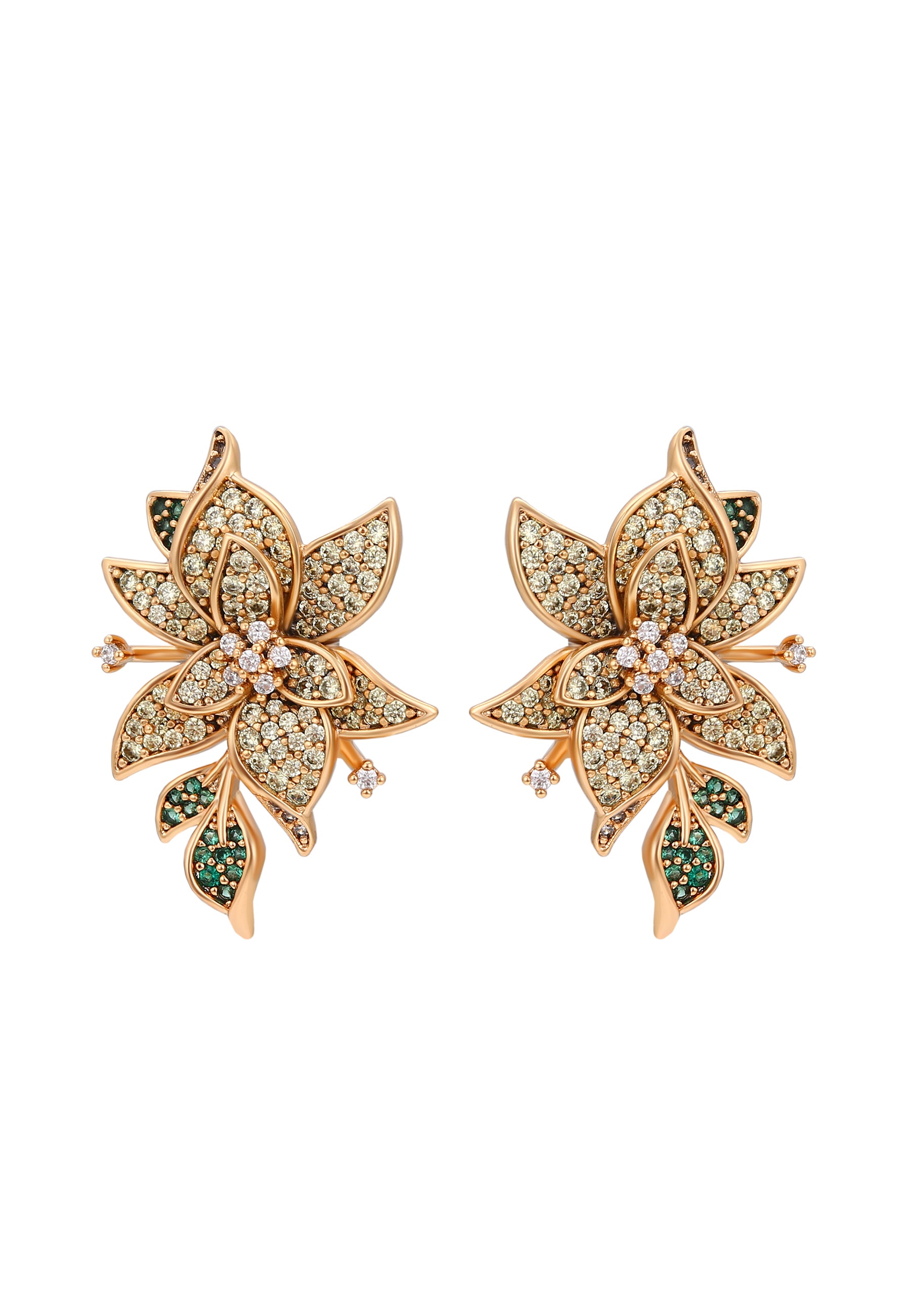 Naemi Women's Earrings