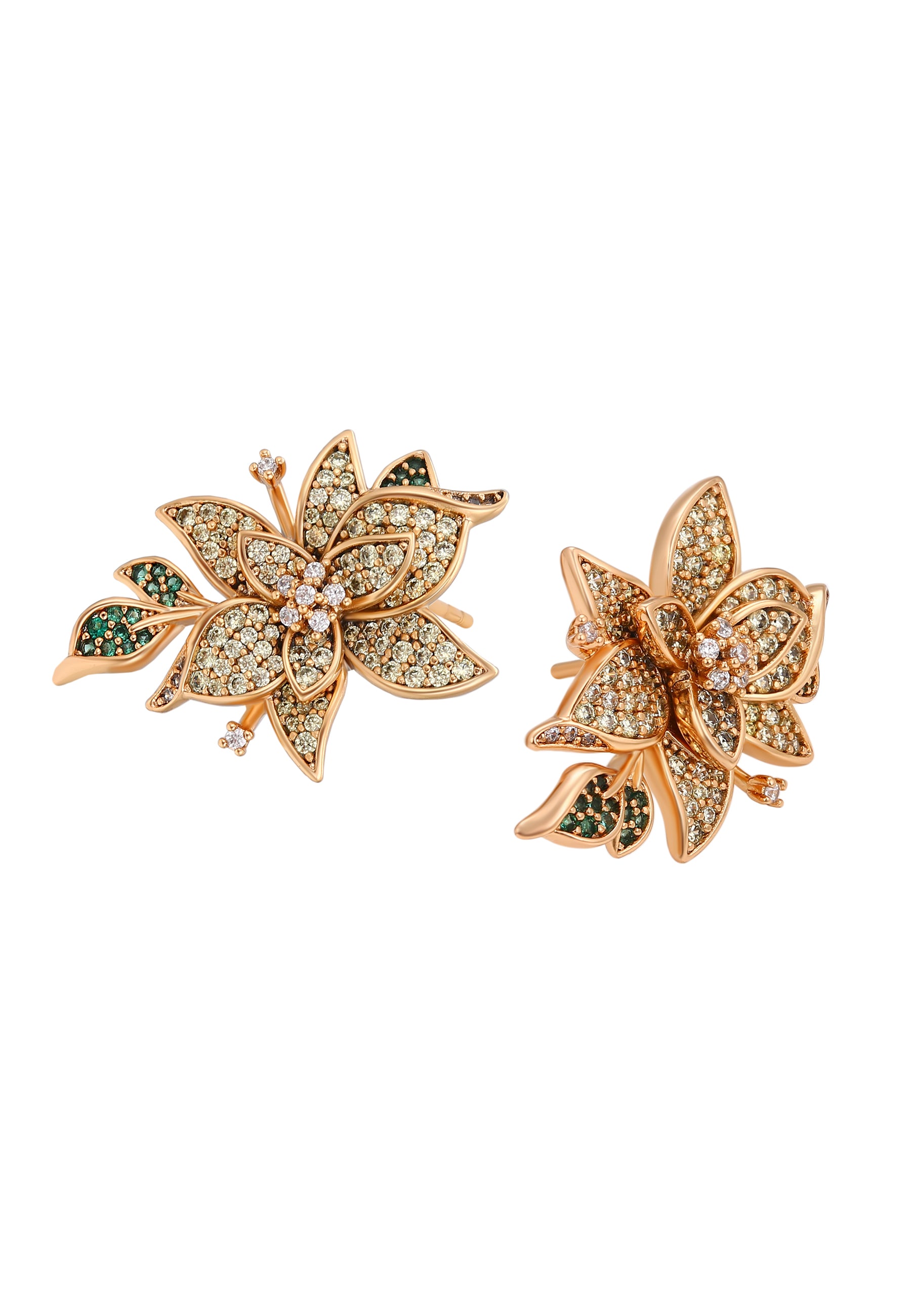 Naemi Women's Earrings