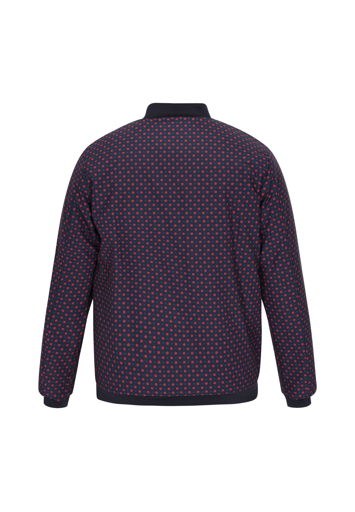 Aleko Men's Jacket