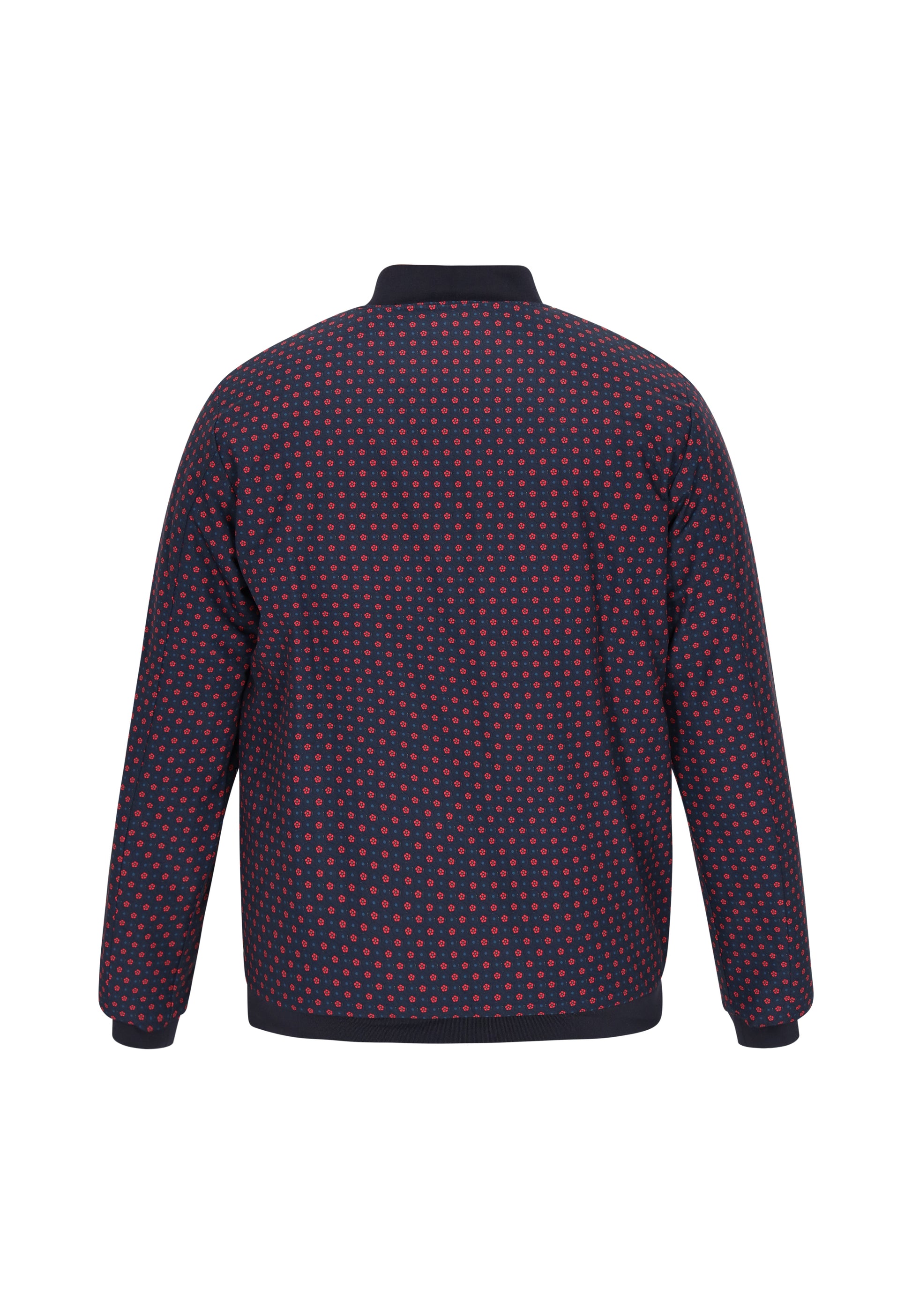 Aleko Men's Jacket