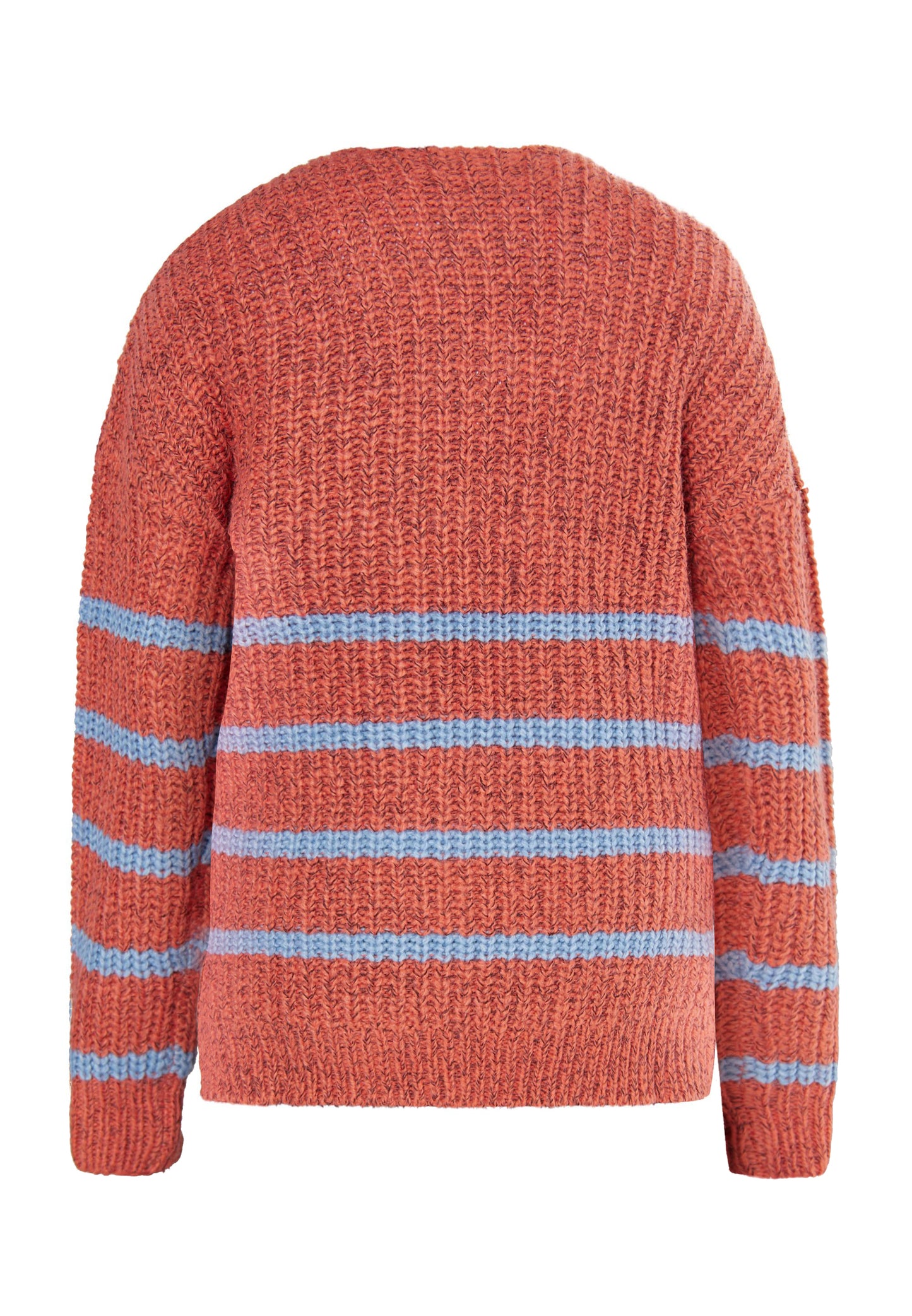 Usha Blue Label Women's Knitted Sweater