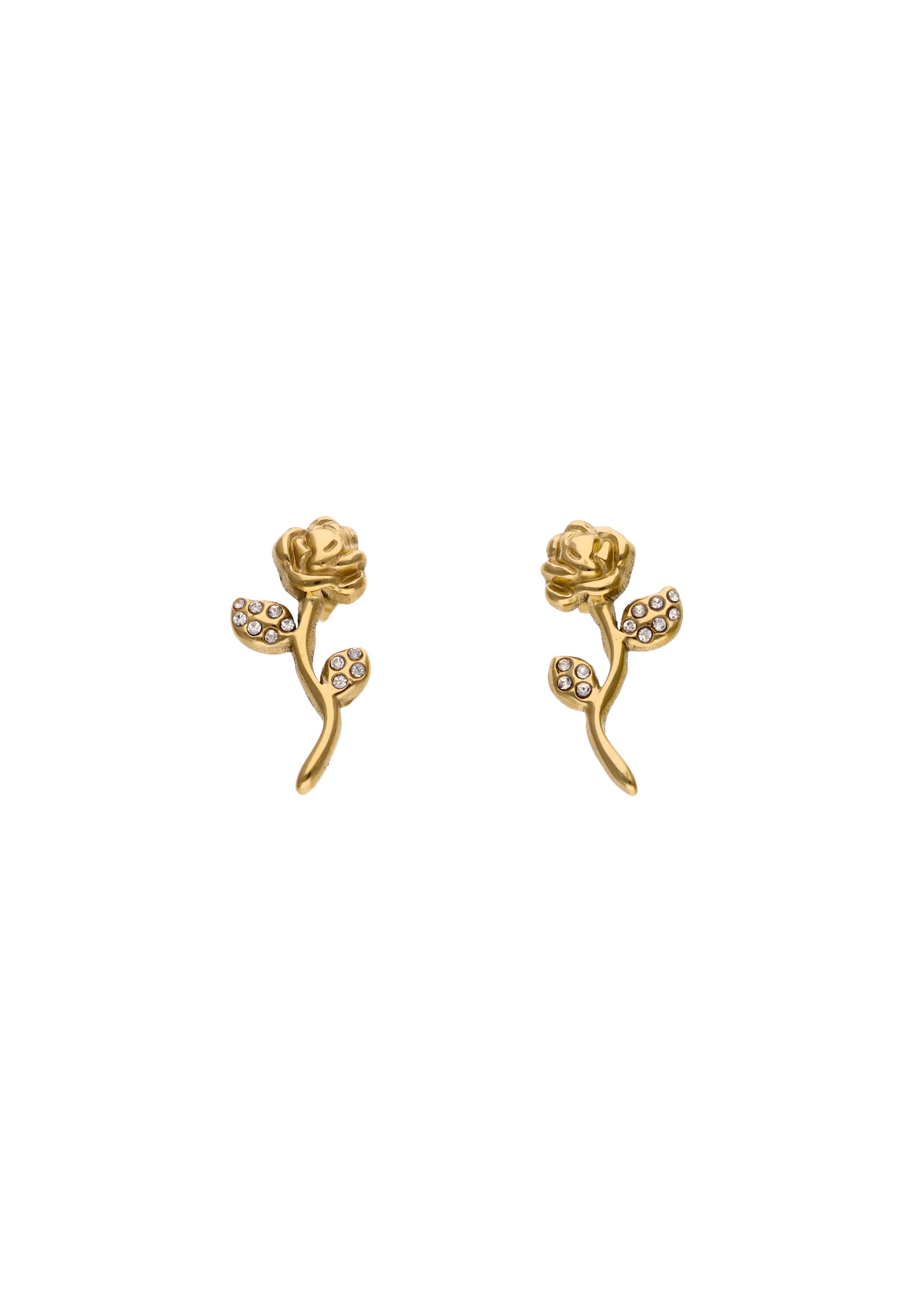 Joella Women's Earrings
