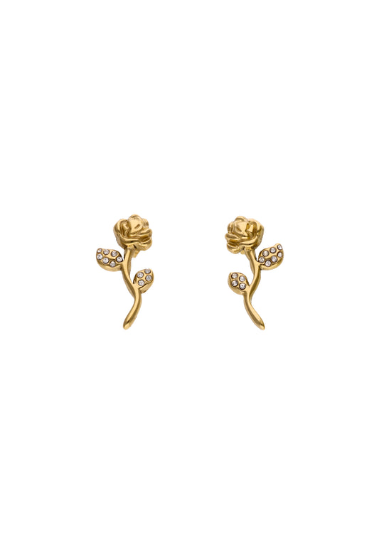 Joella Women's Earrings