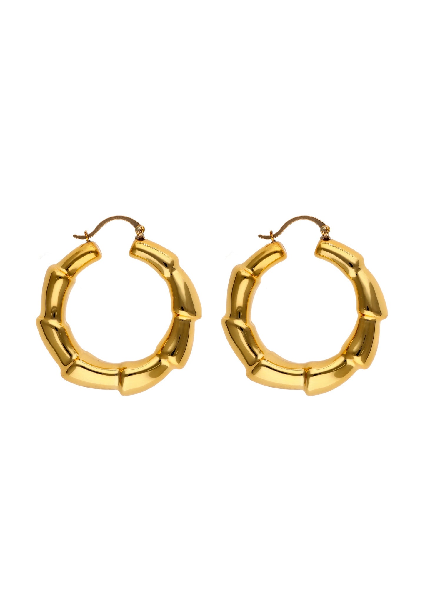 Gaya Women's Earrings