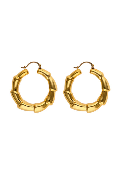 Joella Women's Earrings