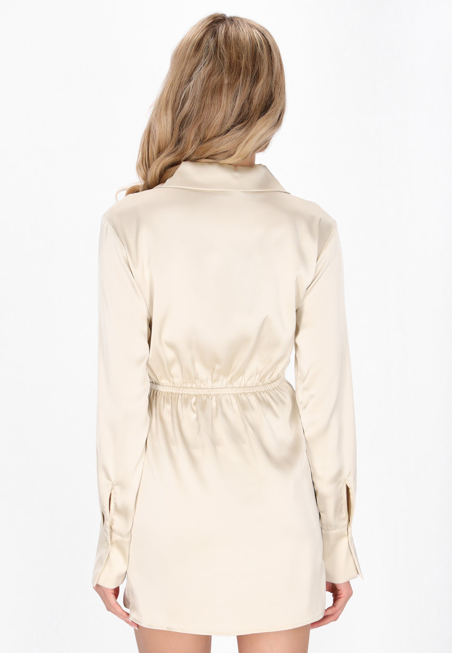 usha BLACK LABEL Women's Dress