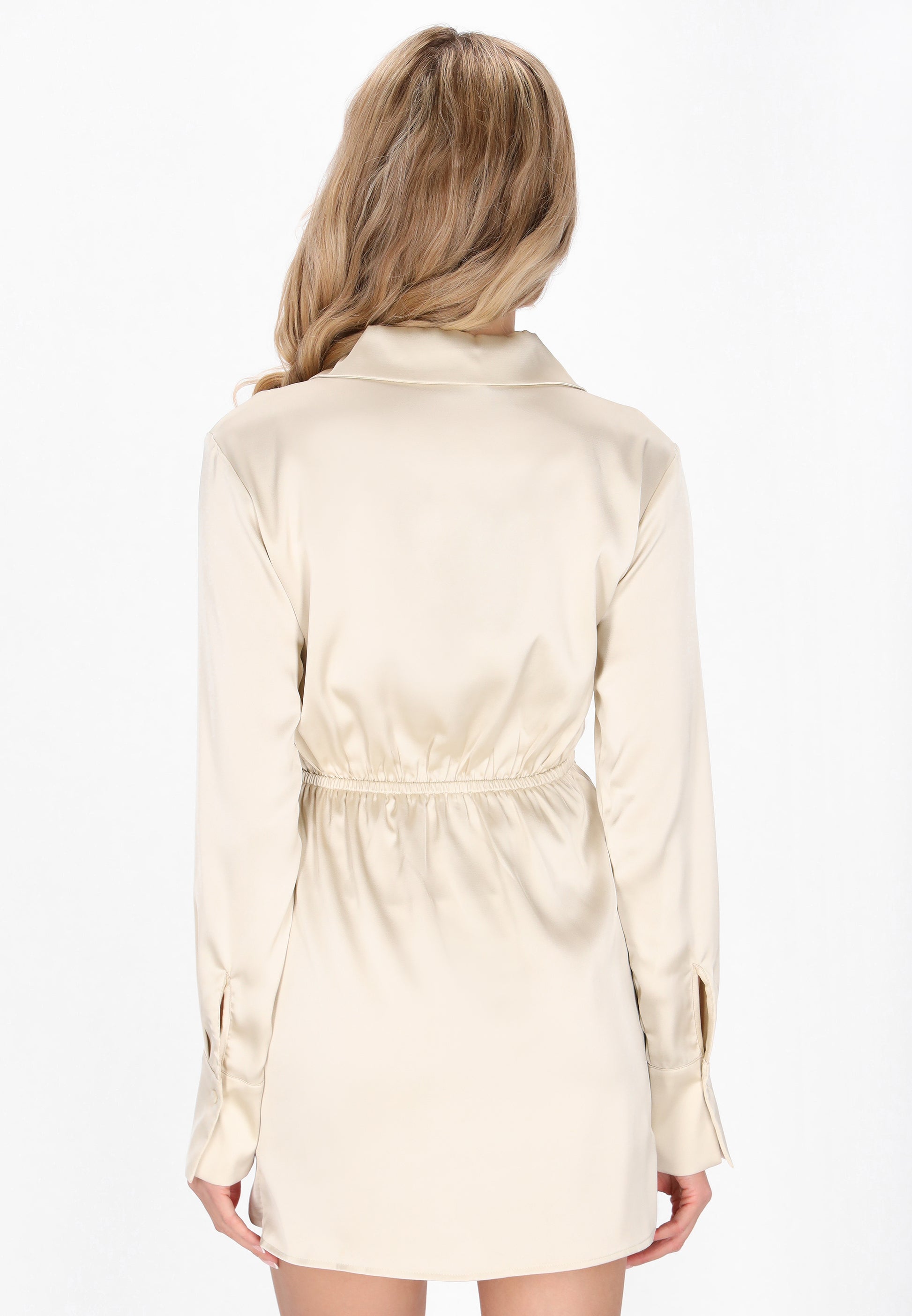 usha BLACK LABEL Women's Dress