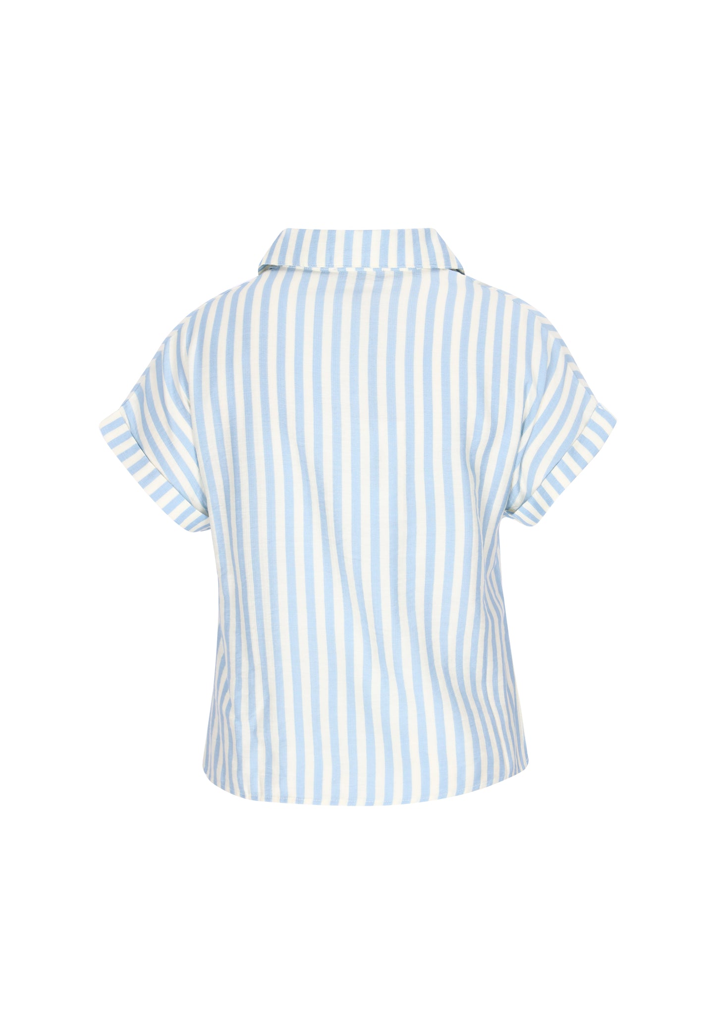 usha Women's Blouse