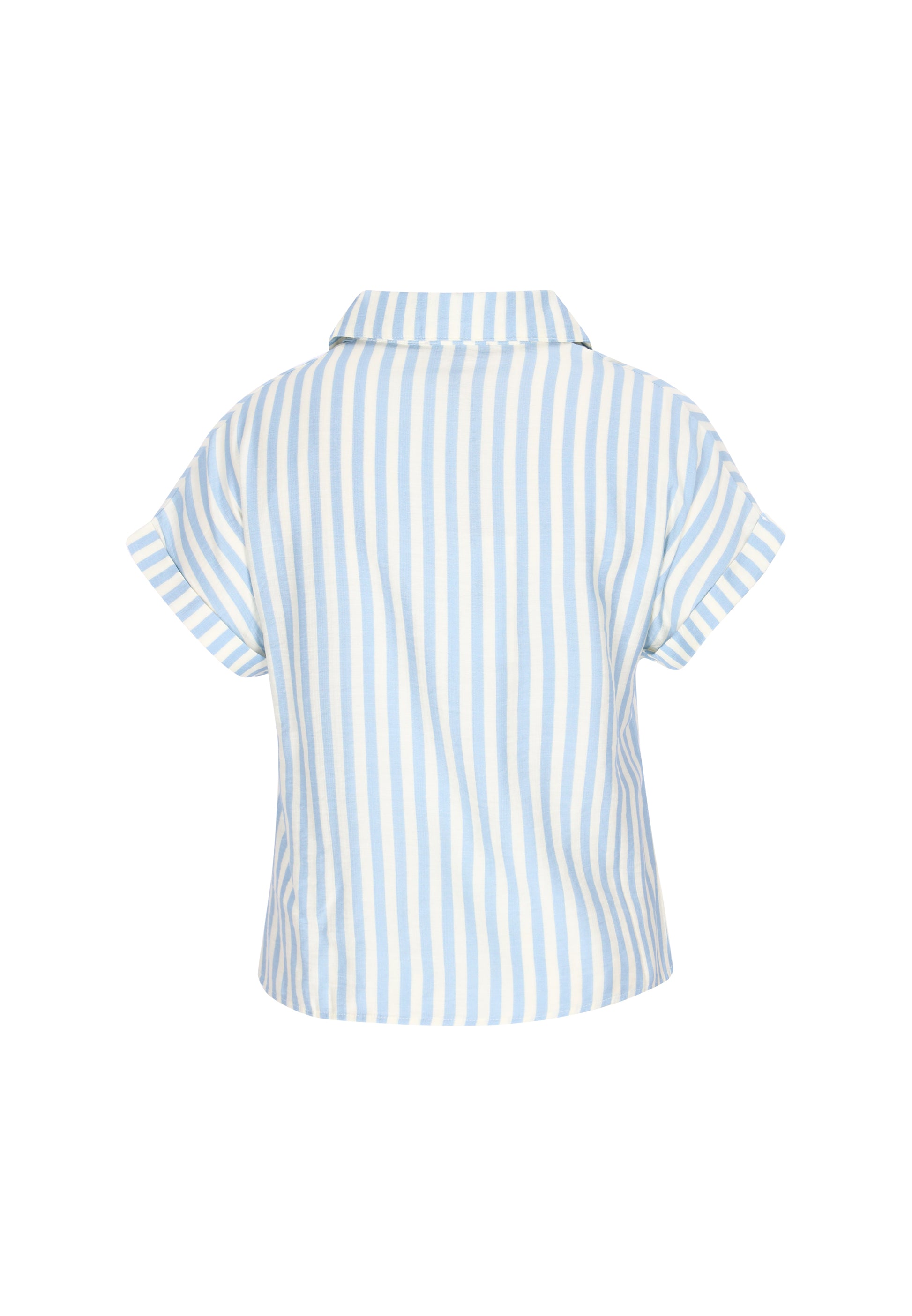 usha Women's Blouse