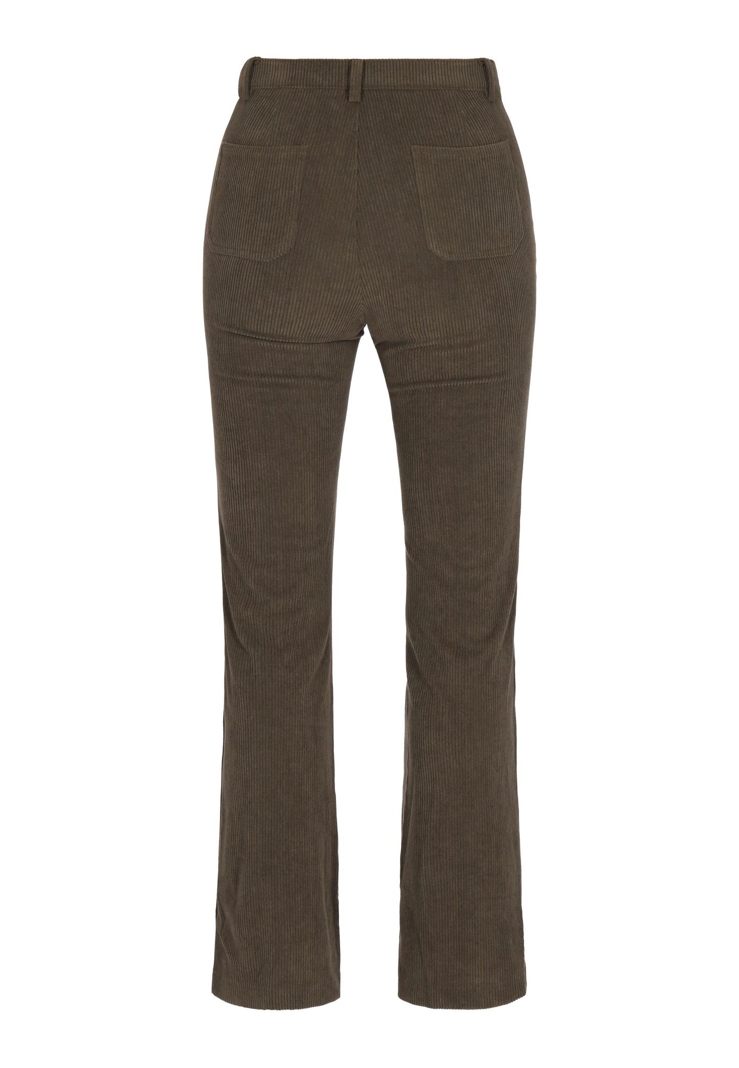 Usha Blue Label Women's Pants