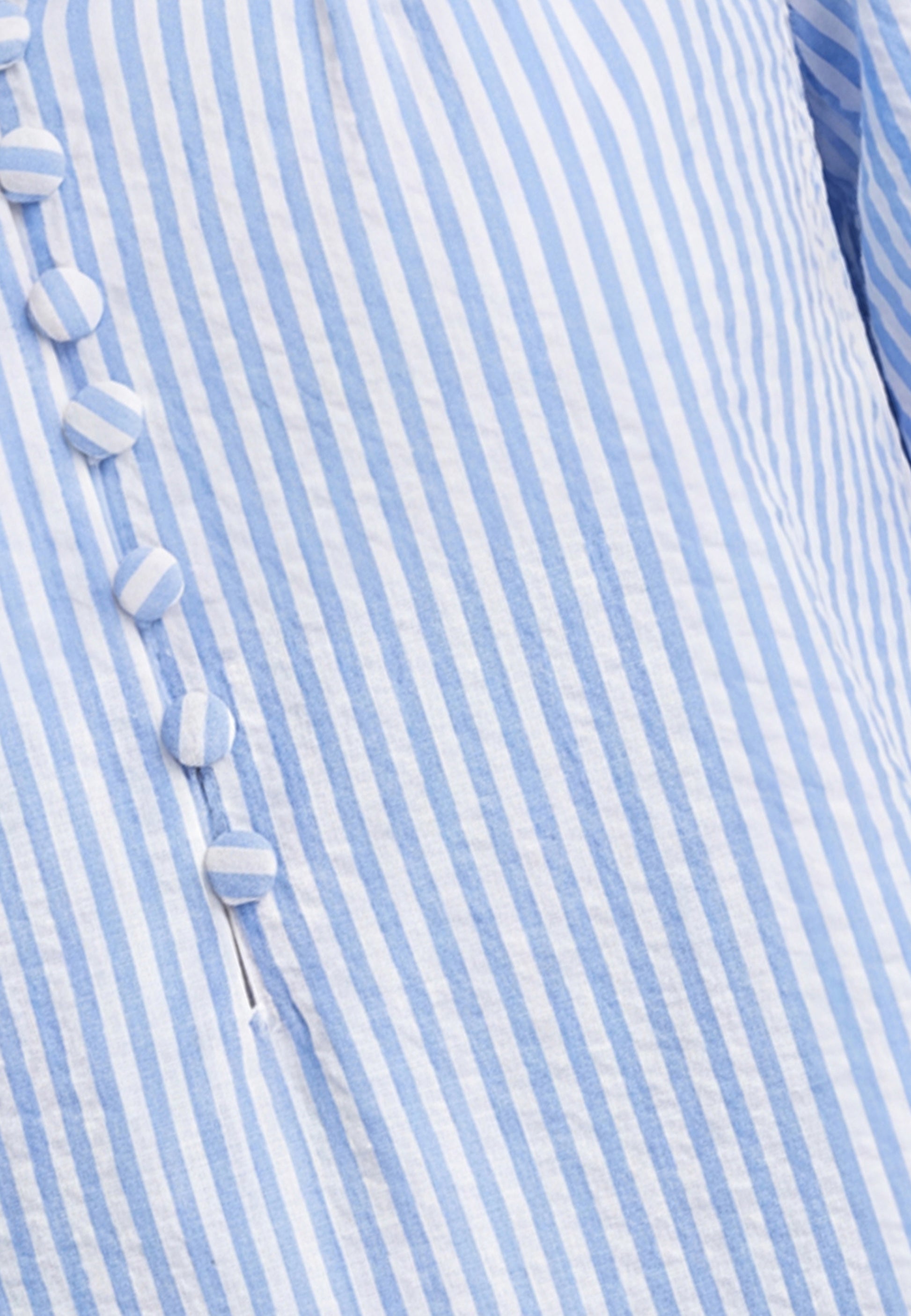 Usha Blue Label Blouse