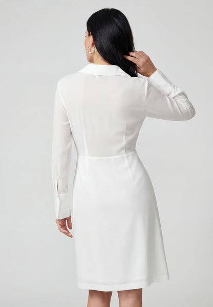 Chancery Women's Dress
