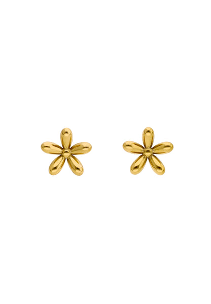 myMo Women's Earrings