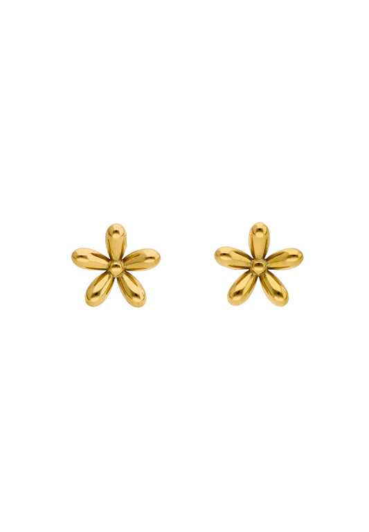 myMo Women's Earrings