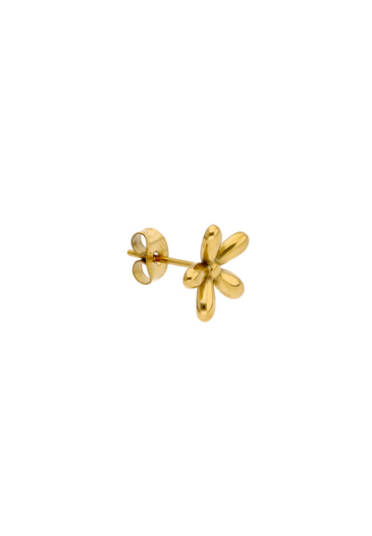 myMo Women's Earrings