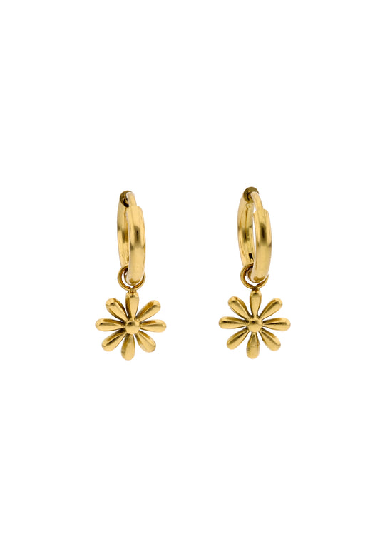 Izia Women's Earrings