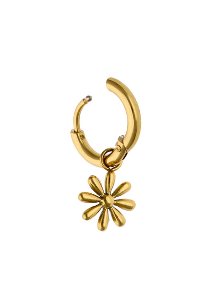 Izia Women's Earrings