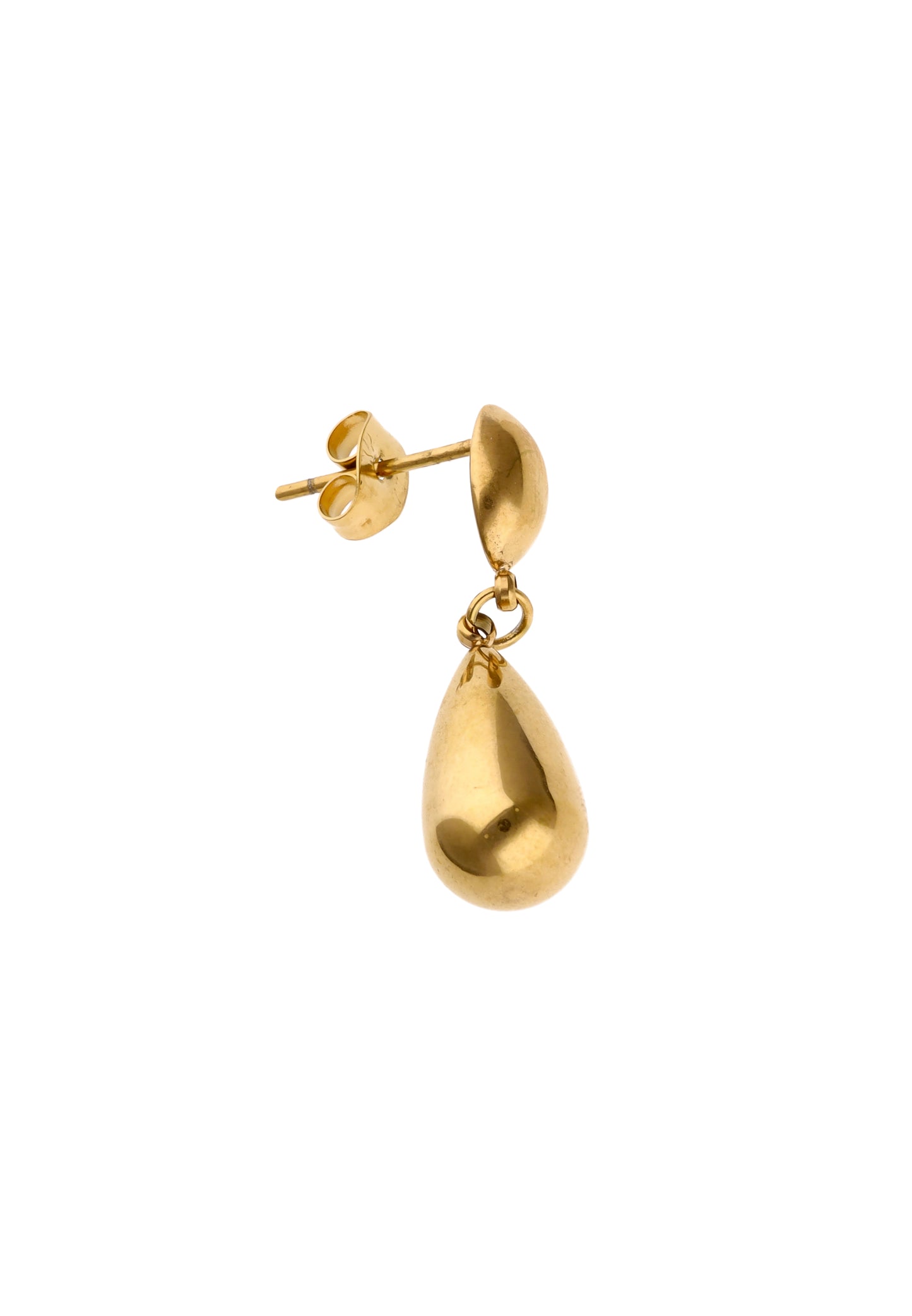 myMo at night Women's Earrings