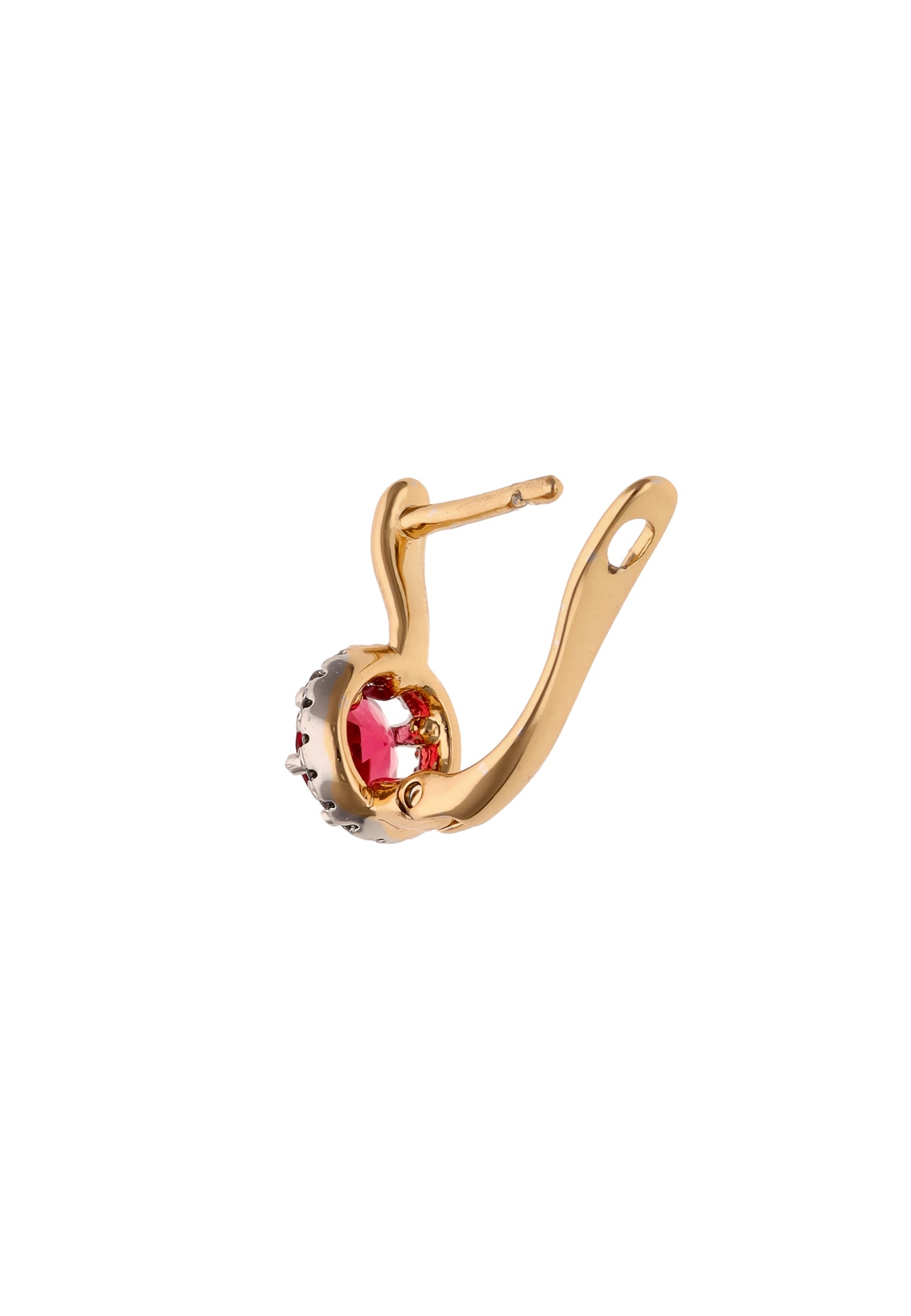 myMo at night Women's Earrings