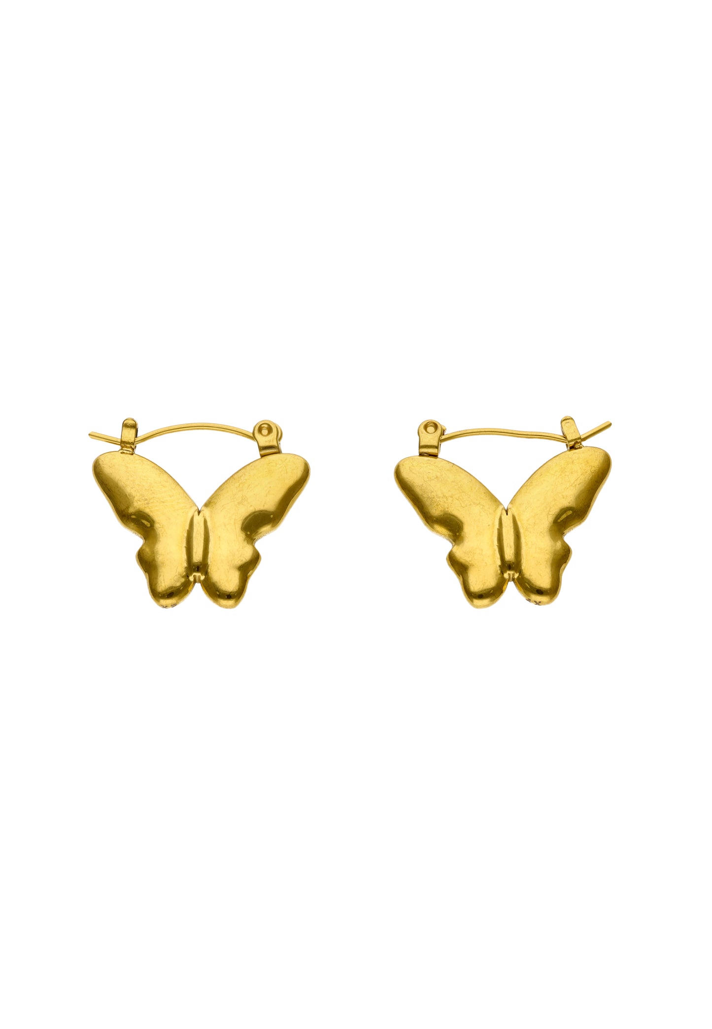 myMo Women's Earrings