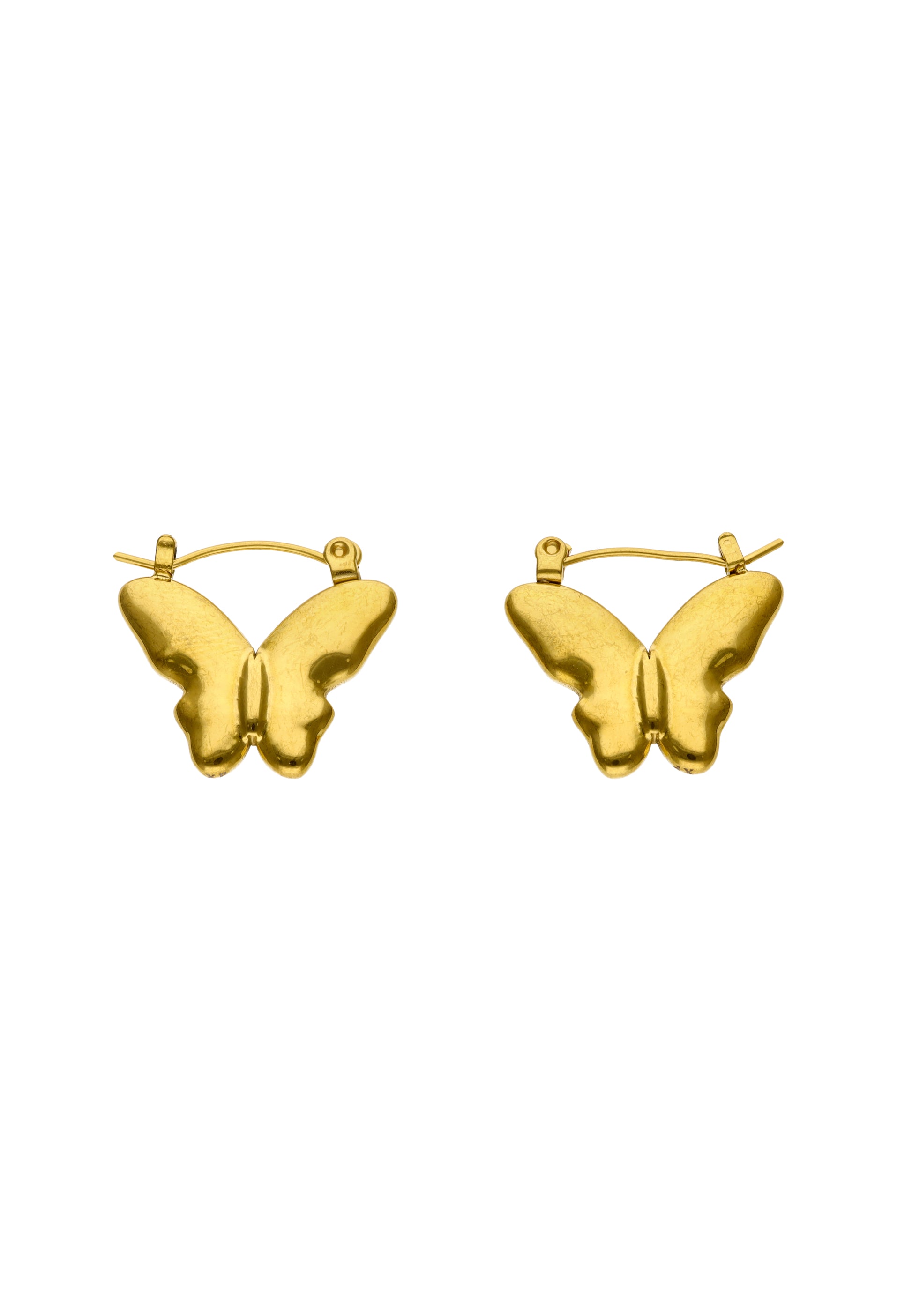myMo Women's Earrings