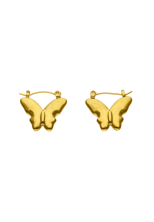 myMo Women's Earrings