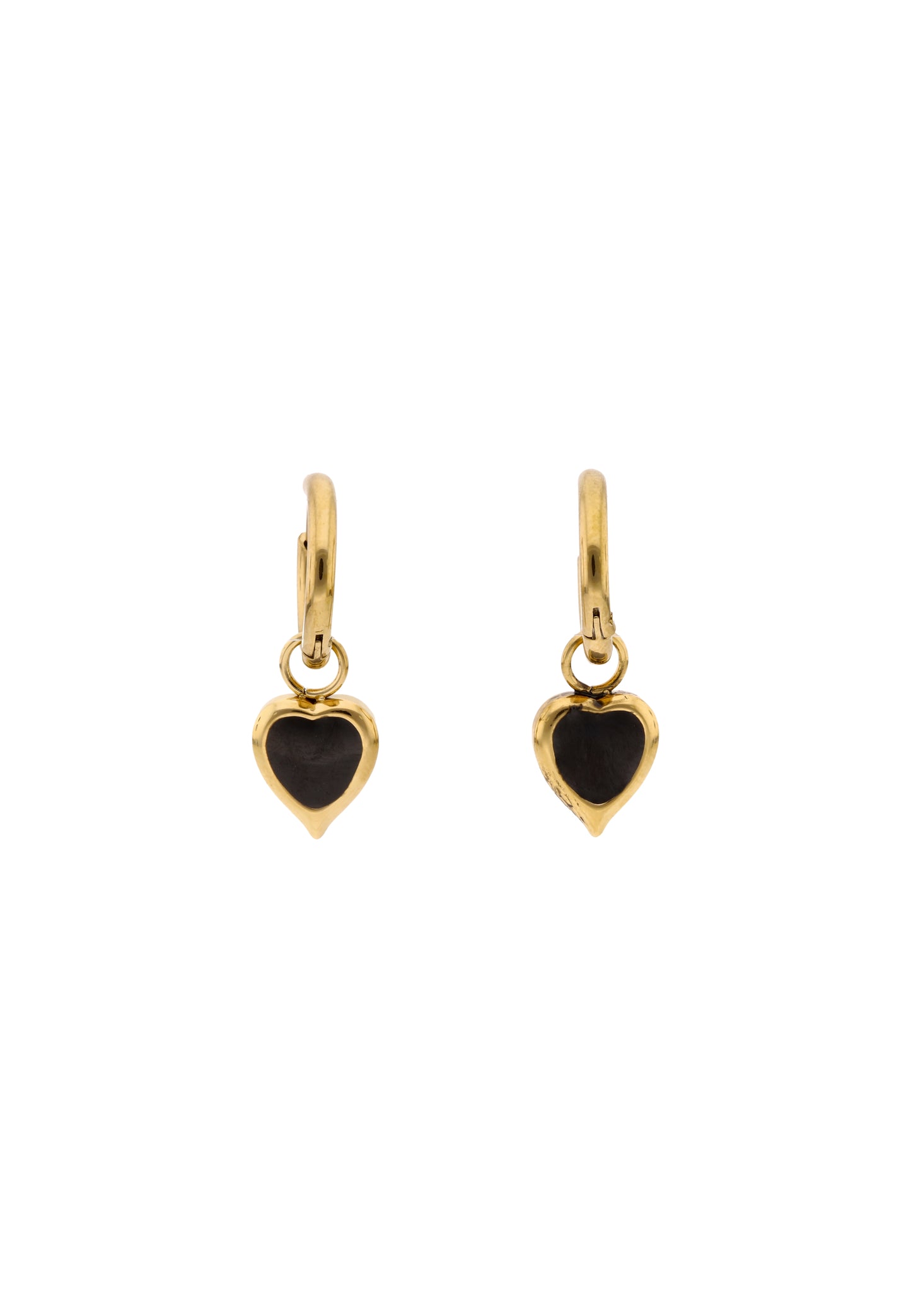 myMo at night Women's Earrings