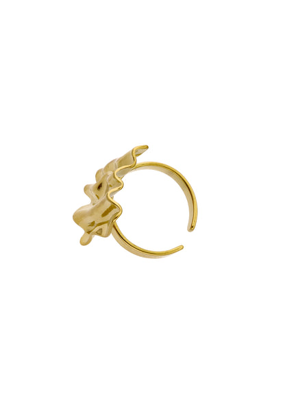RISA Rings
