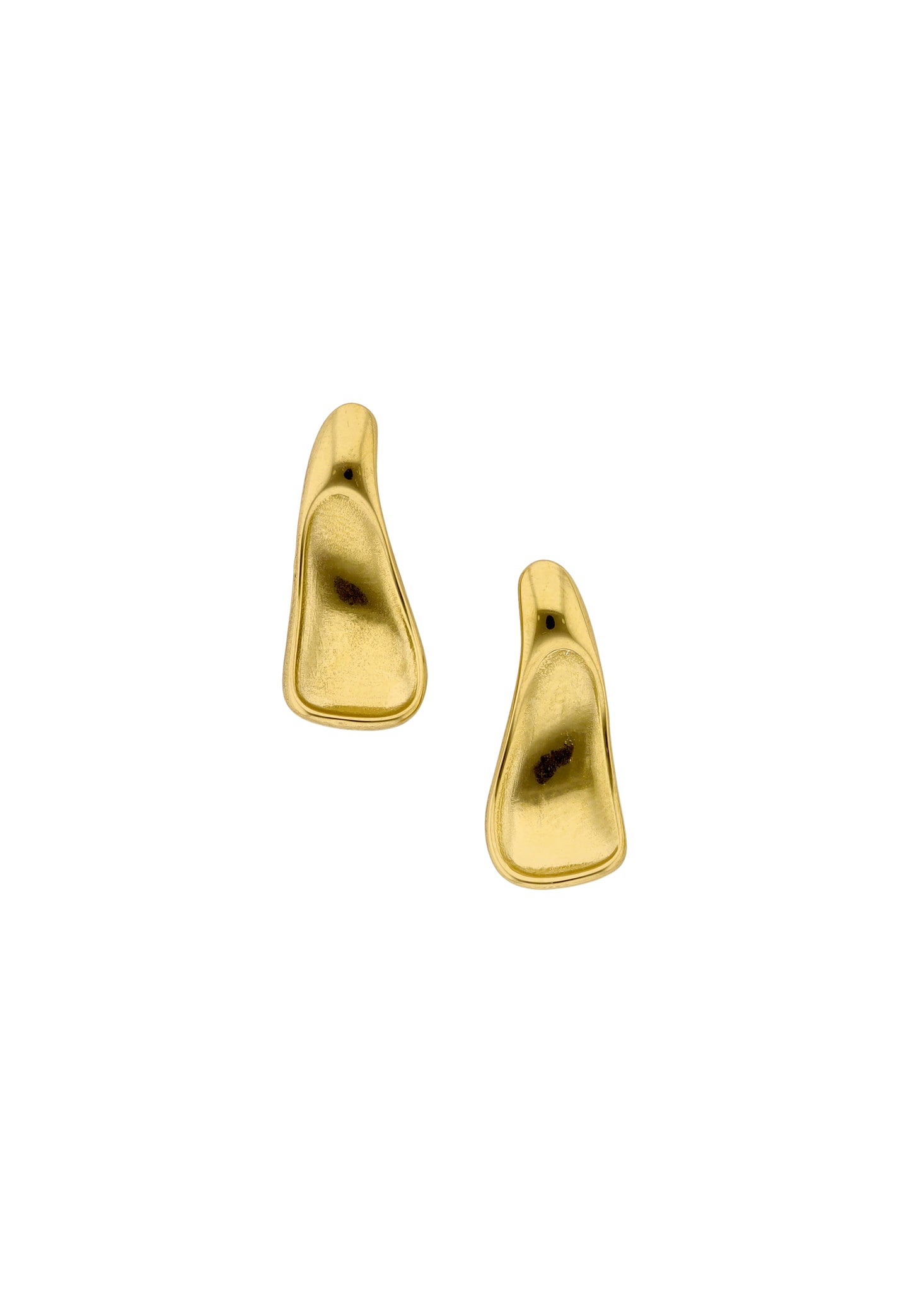 myMo at night Women's Earrings