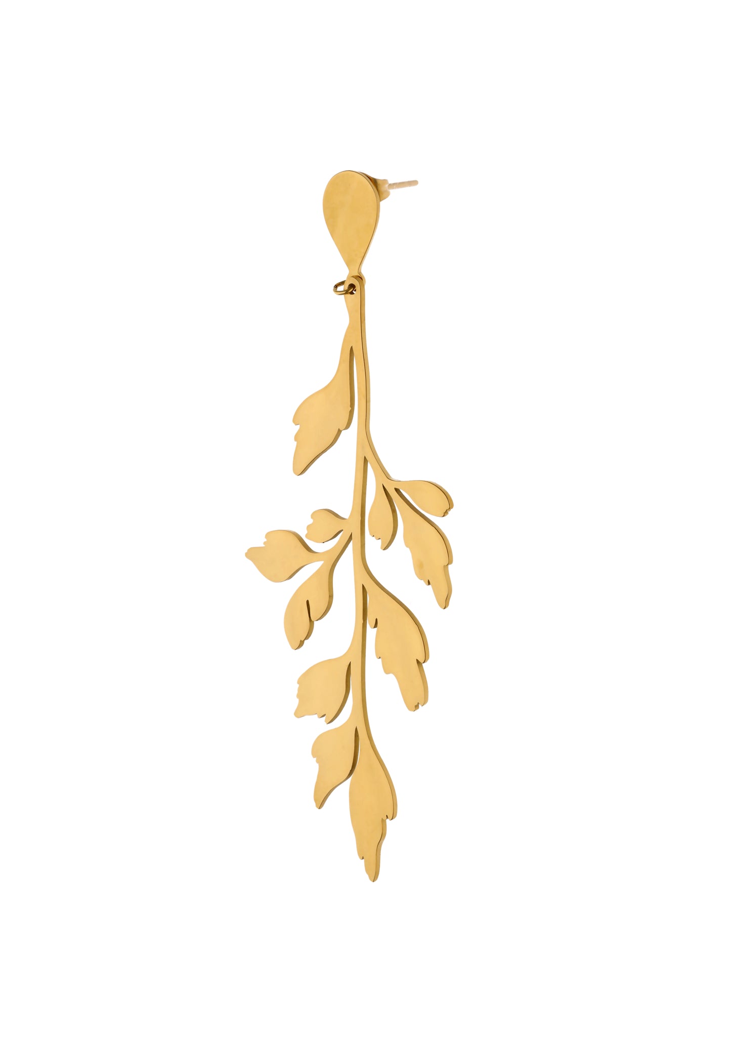 Izia Women's Earrings